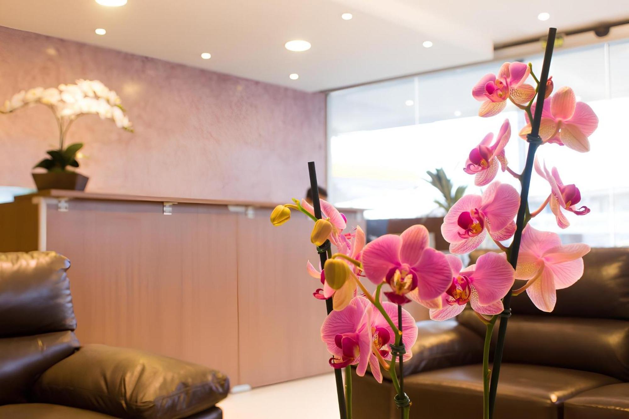 בויטובה Hotel Toyo Inn מראה חיצוני תמונה